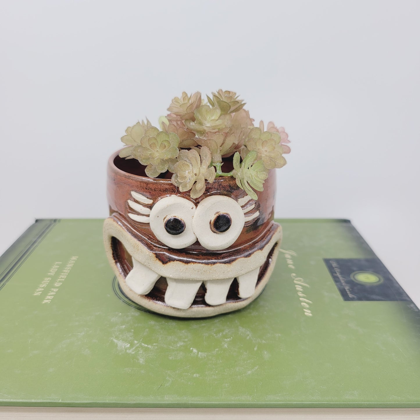 Funny Little Succulent Plant Holder | Face Pot | Tiny Cute Mini Planter | Brick Red