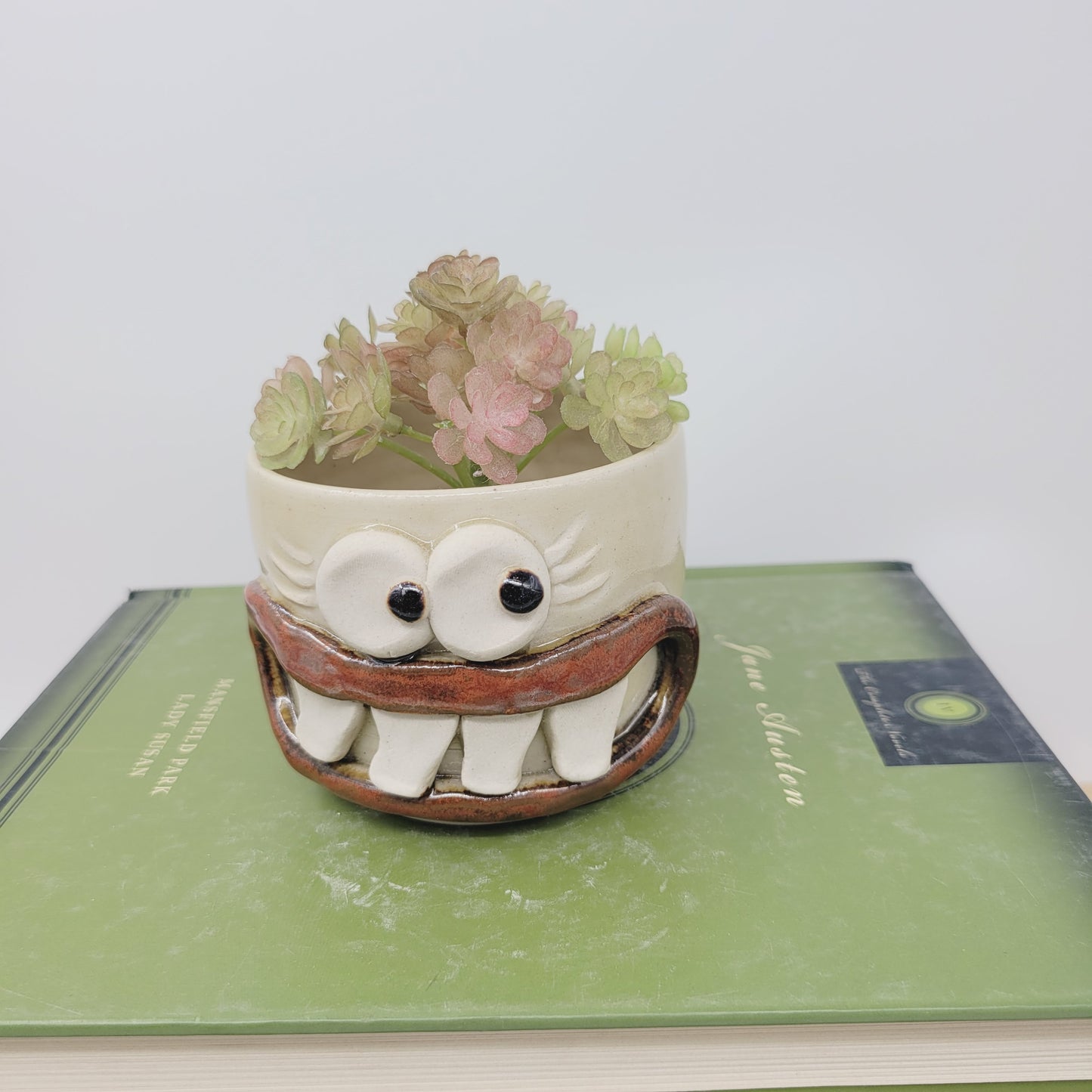 Small Succulent Planter | Cute Kitchen Windowsill Tiny Gardening Pot | Smiley Face Mini Container