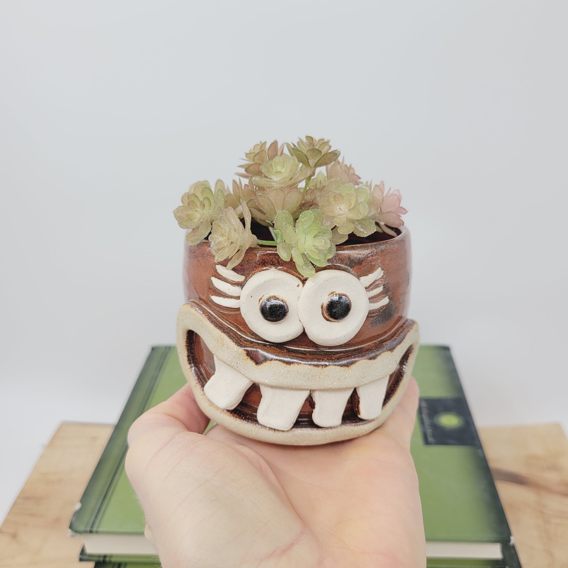cute small succulent pots Funny Little Succulent Plant Holder | Face Pot