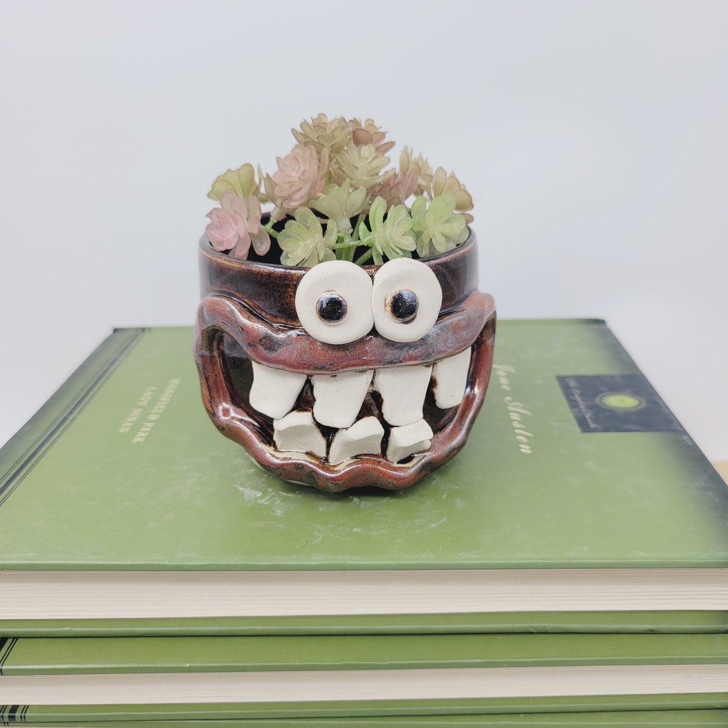 succulent pot holder Funny Little Succulent Plant Holder | Smiley Face Plant Pot