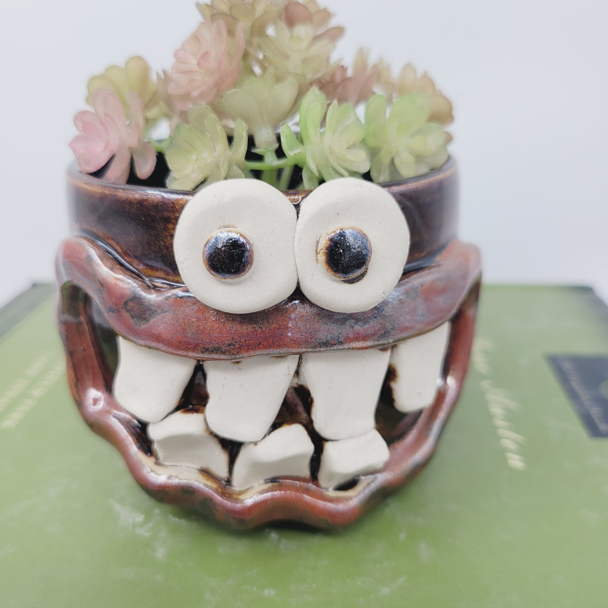 funny succulent pot Funny Little Succulent Plant Holder | Smiley Face Plant Pot