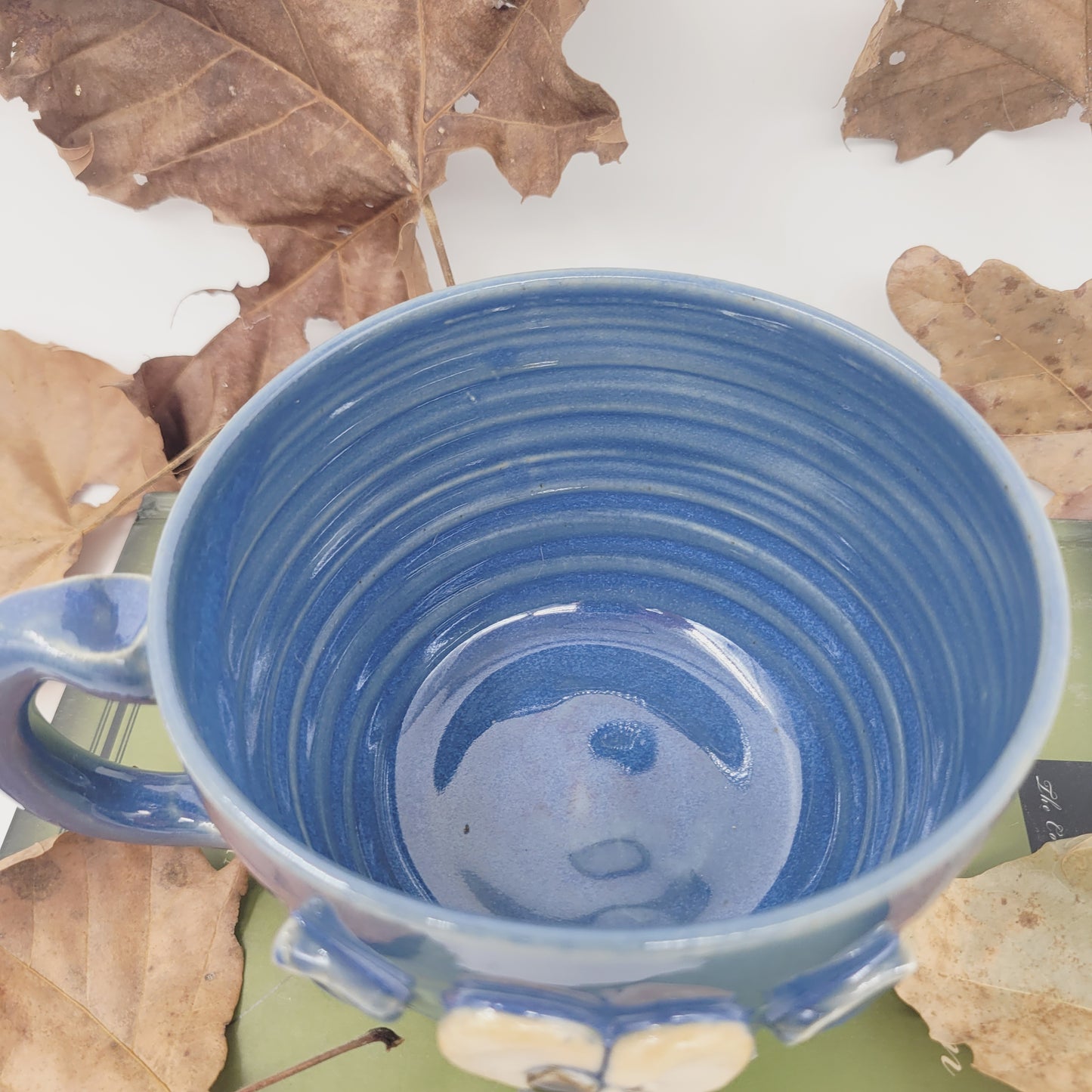 Funny Cat lover Soup Mug |  Fluffkins McPoufy Cat by Nelson Studio | Funny Animal Face Bowl with Small Handle | Blue