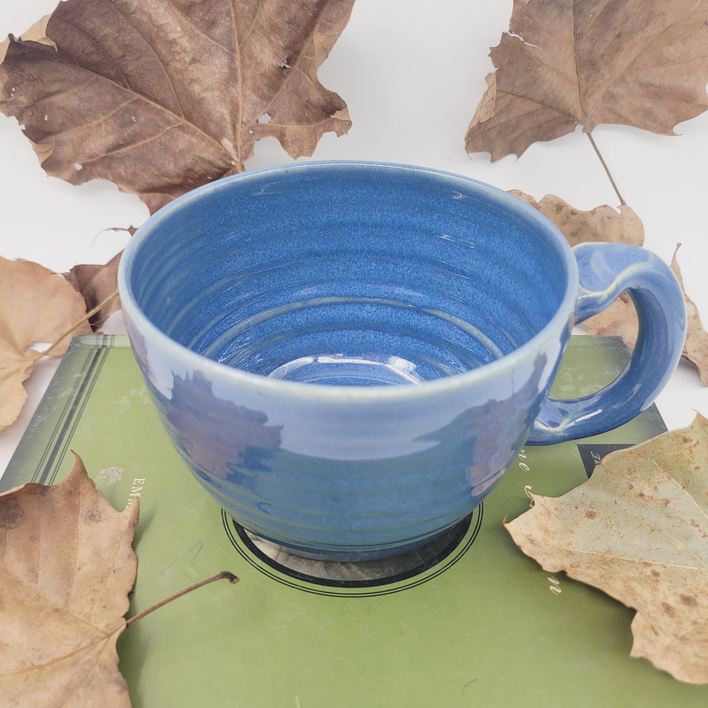 Funny Cat lover Soup Mug |  Fluffkins McPoufy Cat by Nelson Studio | Funny Animal Face Bowl with Small Handle | Blue