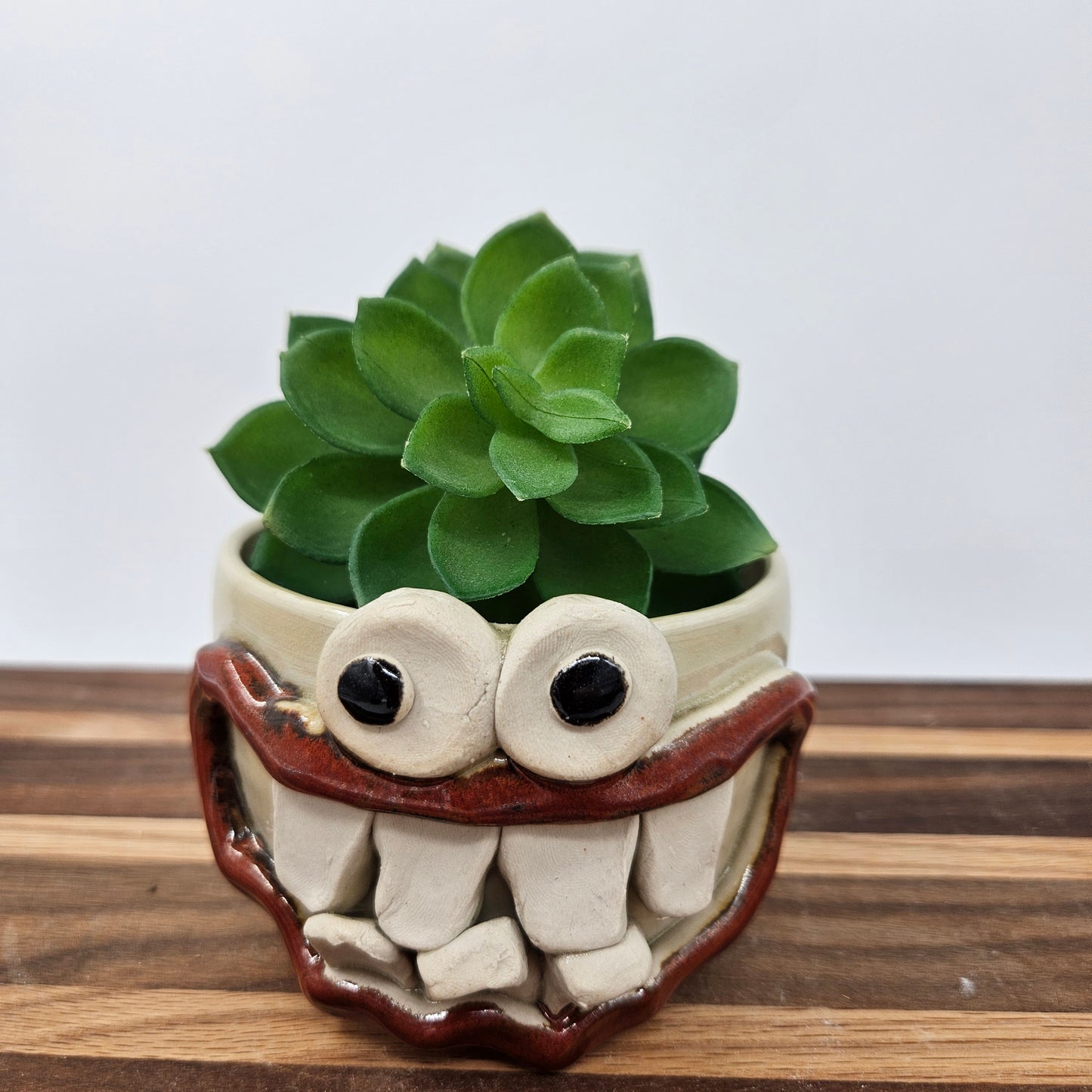 Succulent Pot Small Planter Cactus Pot | Cute Mini Smiley Face Container Gardening | Creamy White Stone | Plant Lover Gift Ideas