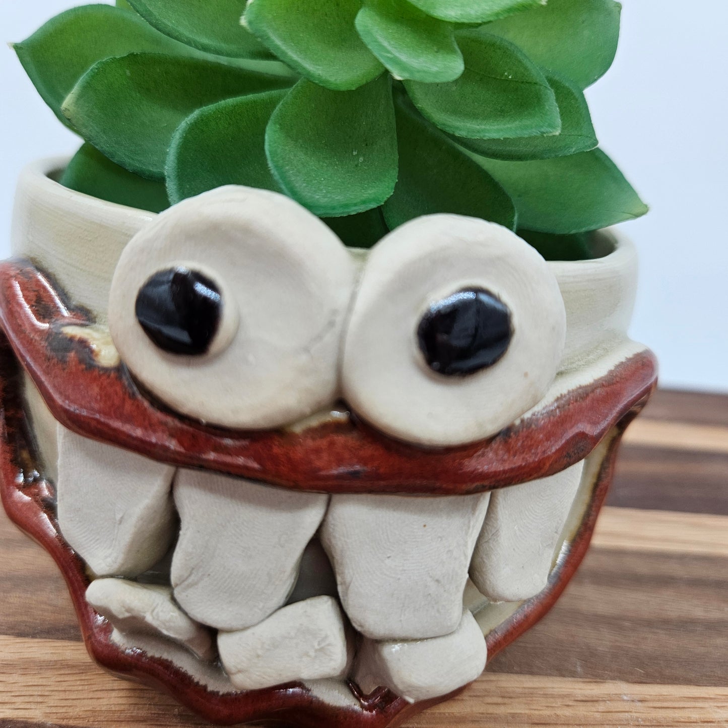 Succulent Pot Small Planter Cactus Pot | Cute Mini Smiley Face Container Gardening | Creamy White Stone | Plant Lover Gift Ideas