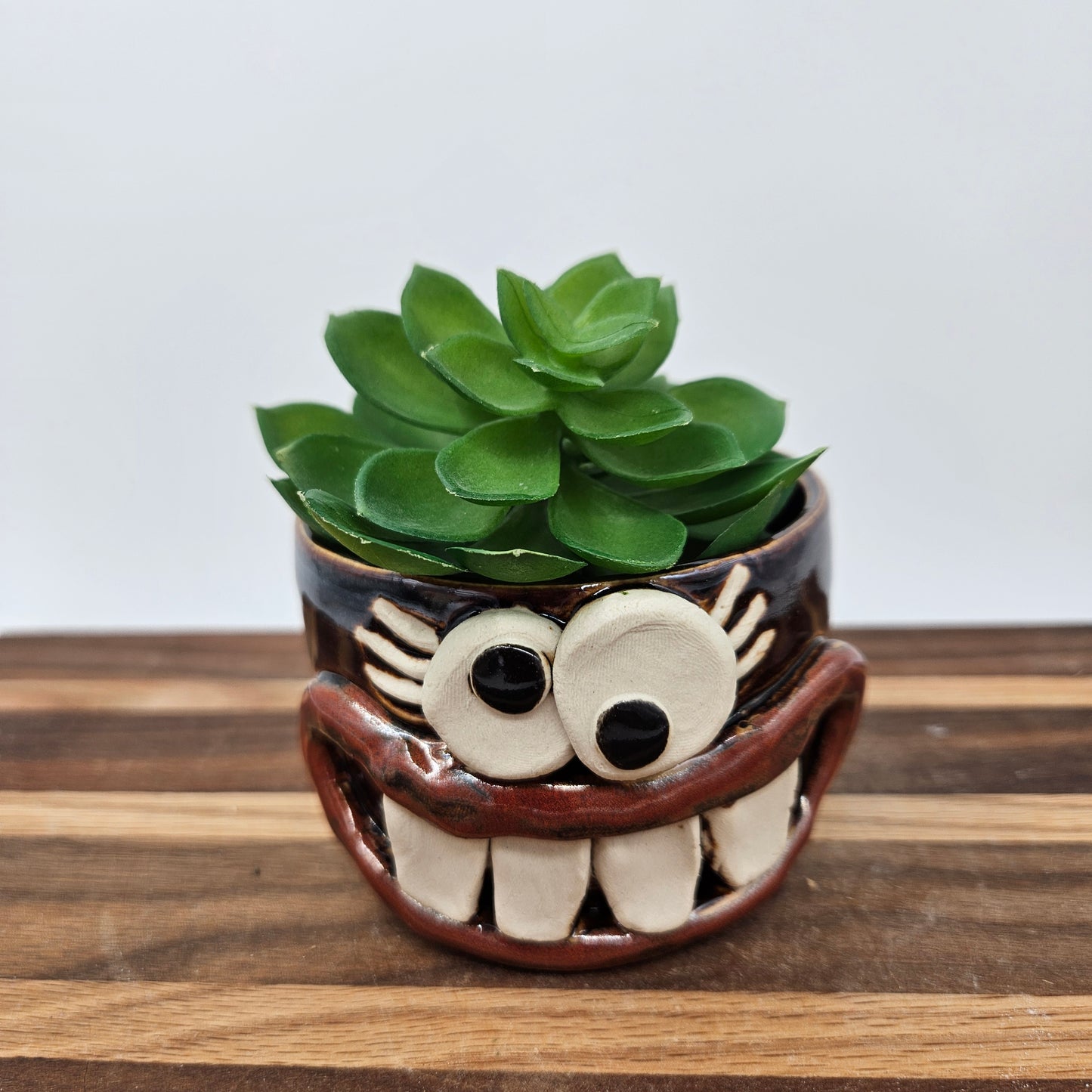 Funny Little Succulent Plant Holder | Tiny Cute Mini Planter | Gardener Gift